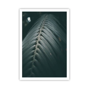 Poszter - A természet pontossága - 70x100 cm