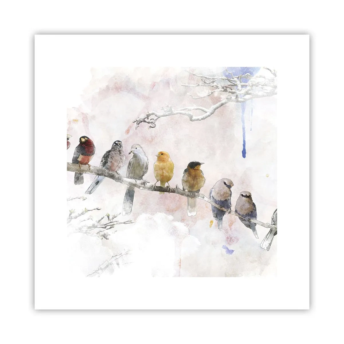 Poszter - Szárnyas találkozó - 30x30 cm