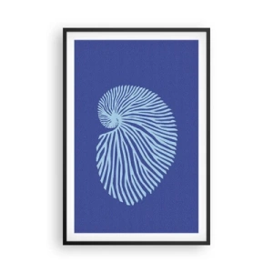 Poszter fehér keretben - Egy kagyló születése - 61x91 cm