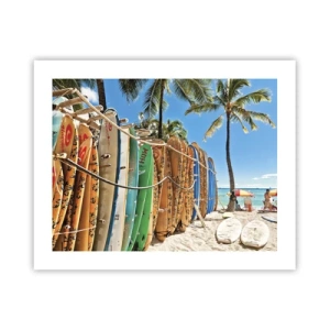 Poszter - Napos mulatság - 50x40 cm