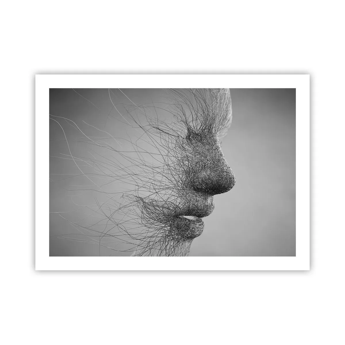 Poszter - A szél szelleme - 70x50 cm