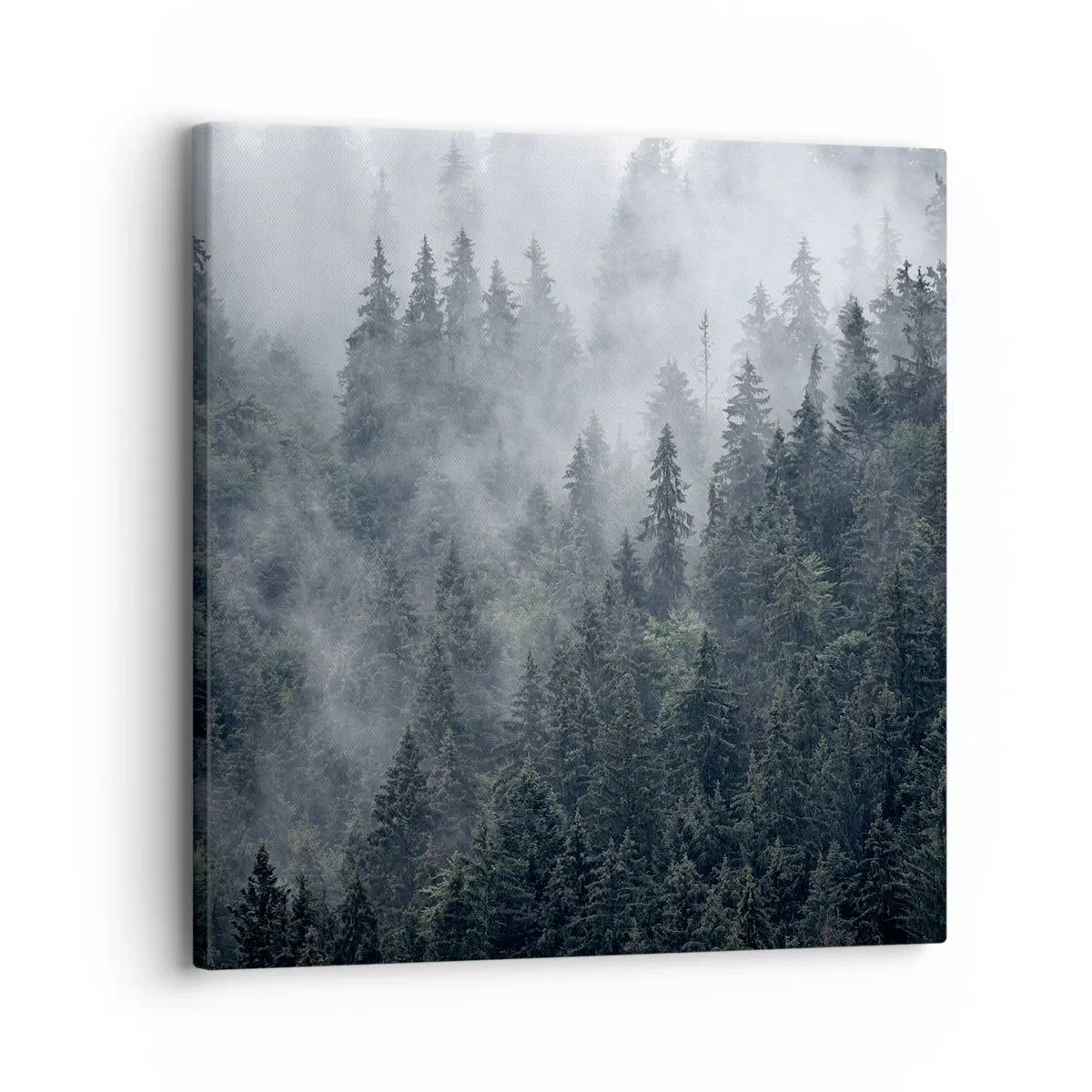 Vászonkép - Erdei hajnal - 30x30 cm