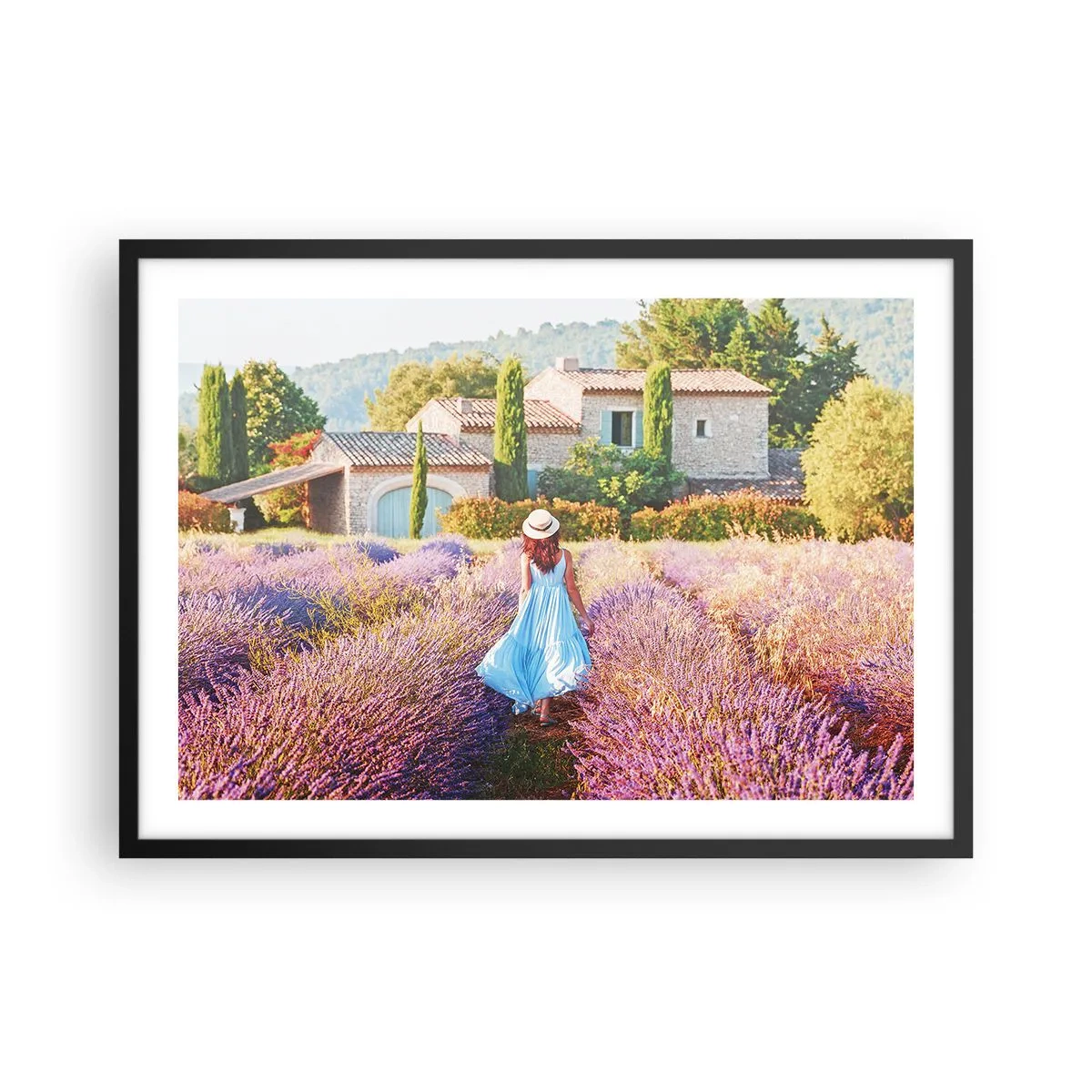 Poszter fehér keretben - Levendula lány - 70x50 cm