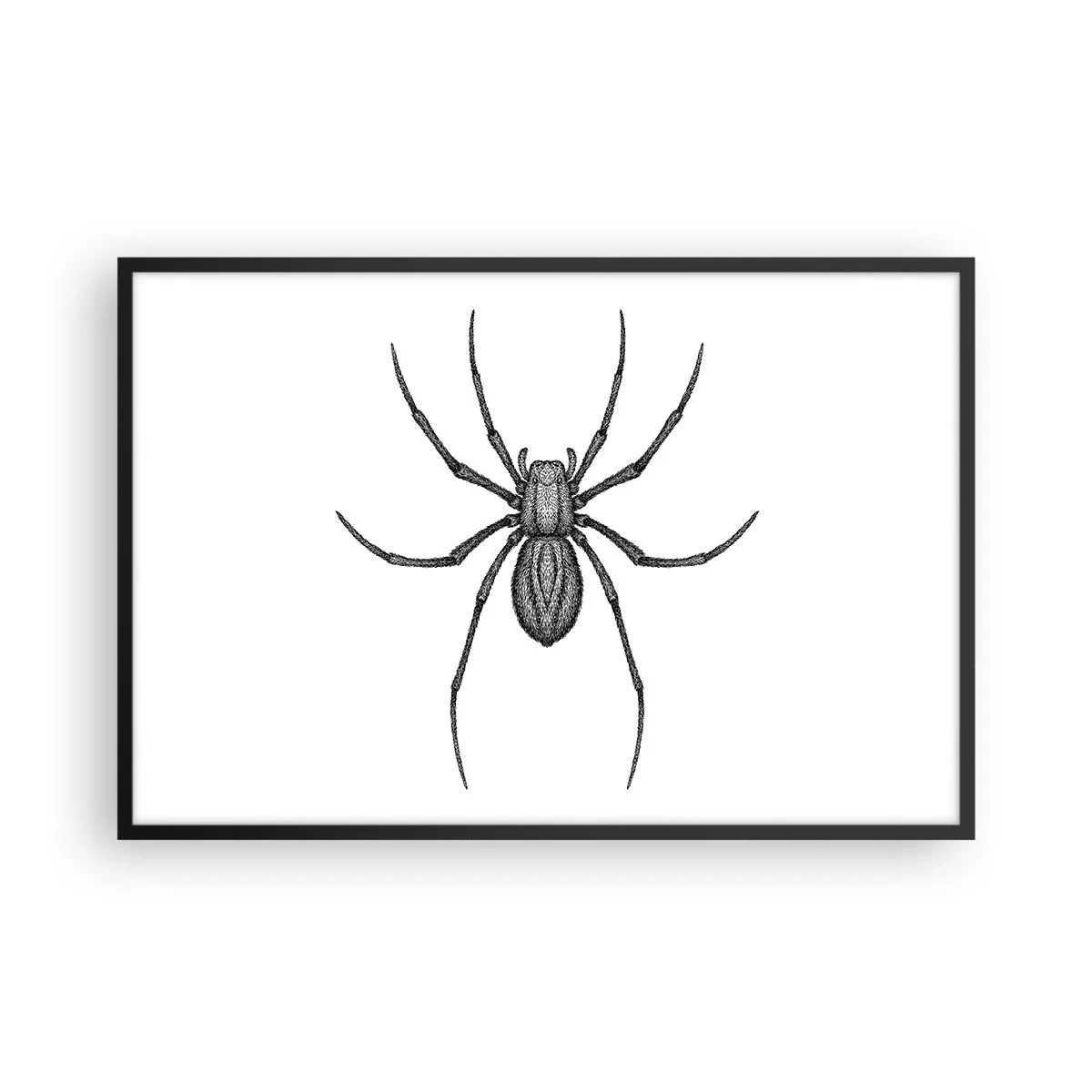 Poszter fehér keretben - Zavaró precizitás - 91x61 cm