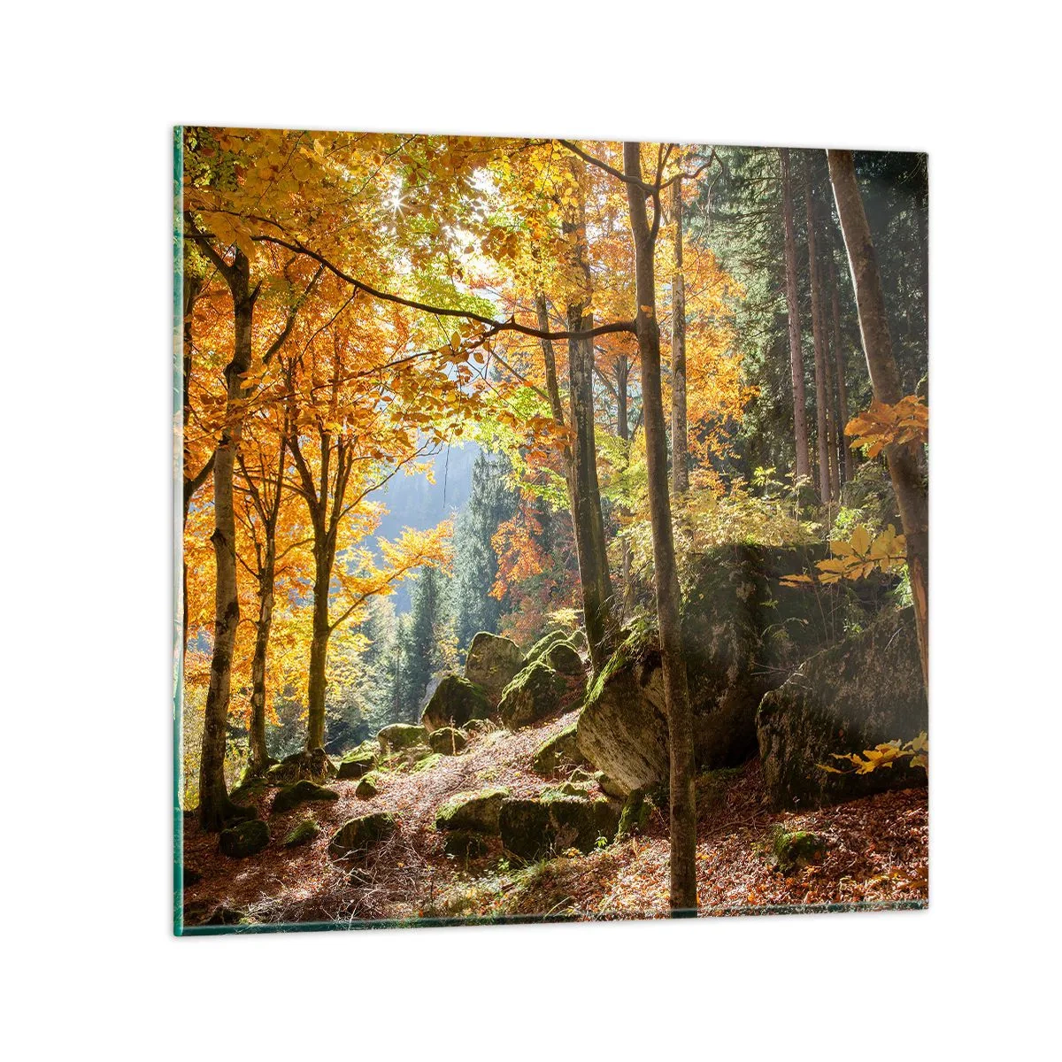 Üveg kép - Itt az ideje a pihenésnek - 60x60 cm