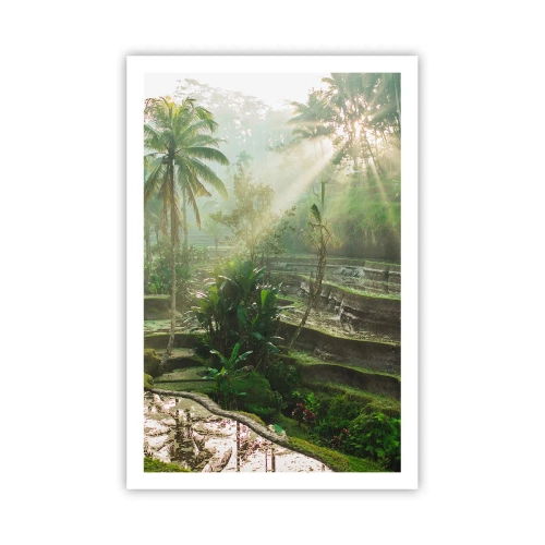 Poszter - Felnőni a napon - 61x91 cm