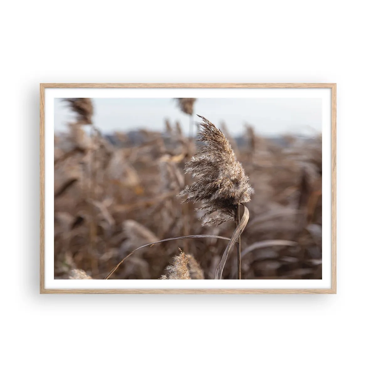 Poszter világos tölgy keretben - Ideje elrepülni a széllel - 100x70 cm