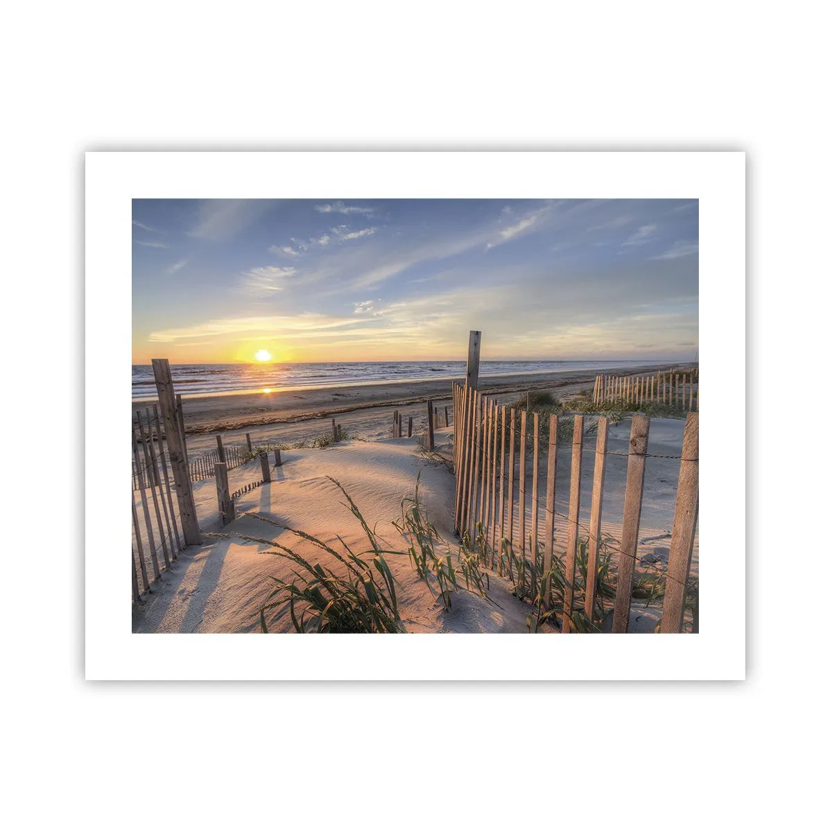 Poszter - A szél ragyogása és árnyéka - 50x40 cm