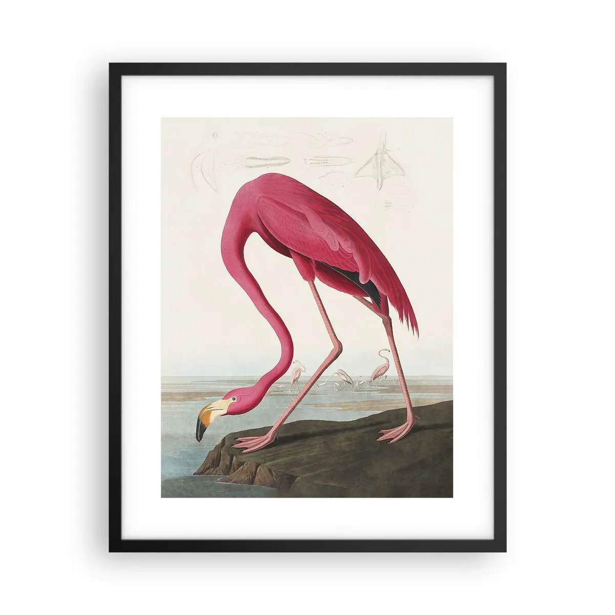 Poszter fehér keretben - Csodálatos teremtmény - 40x50 cm