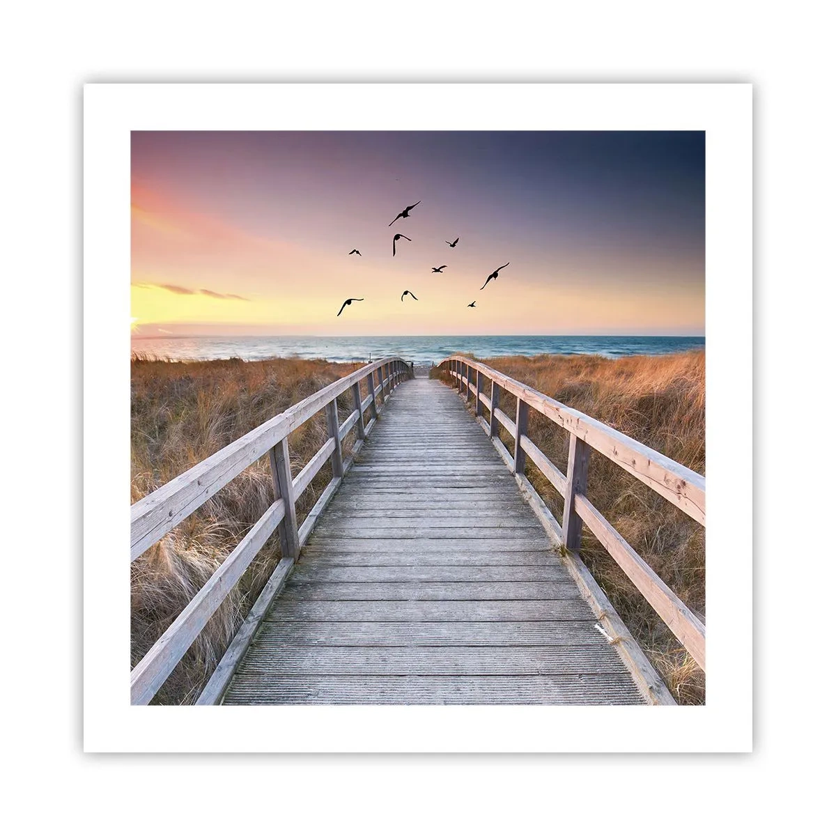 Poszter - Repülési tér - 50x50 cm