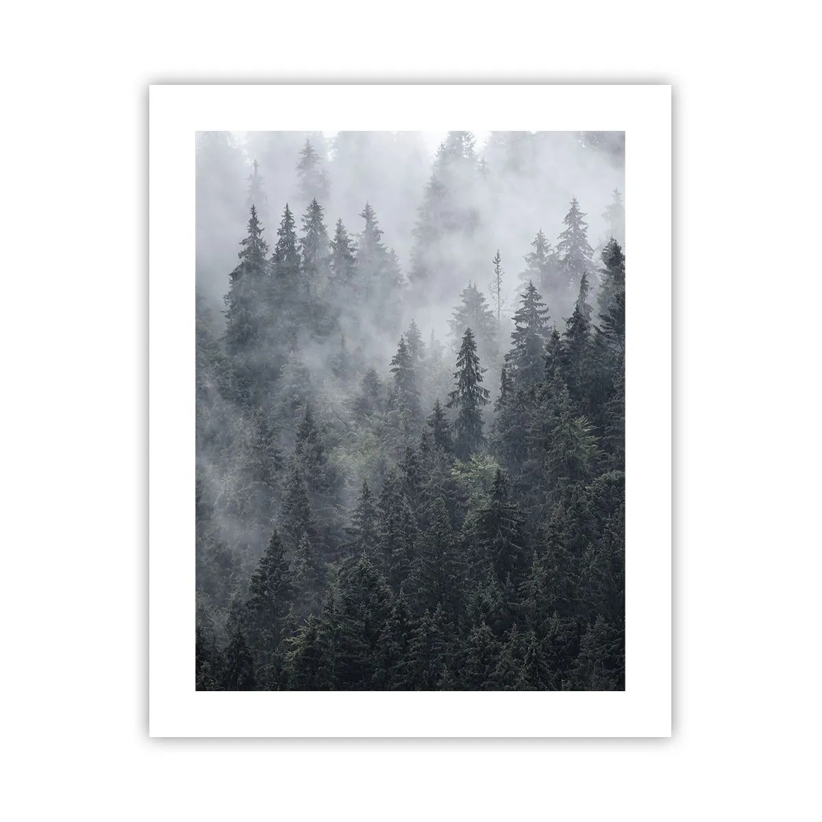 Poszter - Erdei hajnal - 40x50 cm