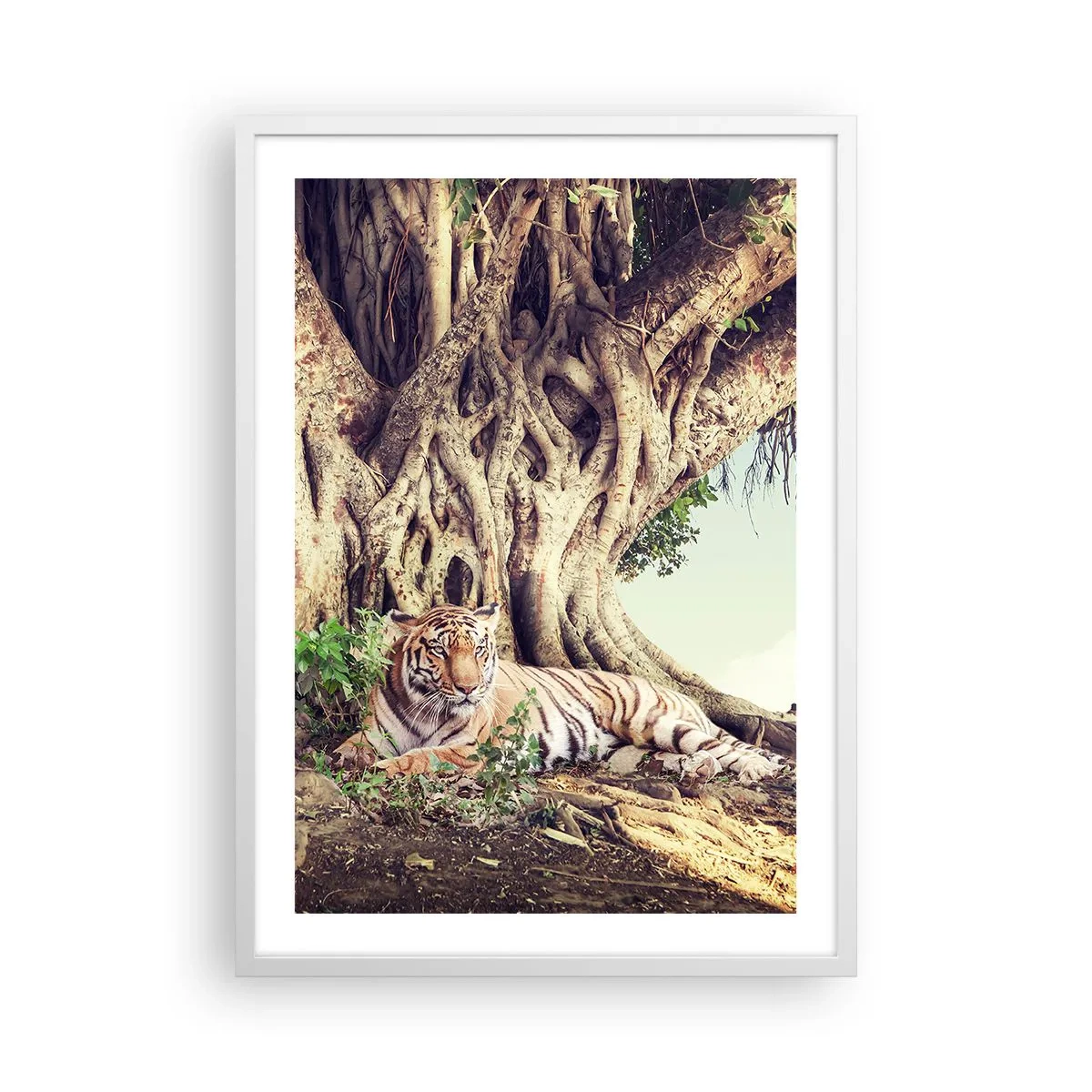 Poszter fekete keretben - Kilátás a Genezis könyvéből - 50x70 cm