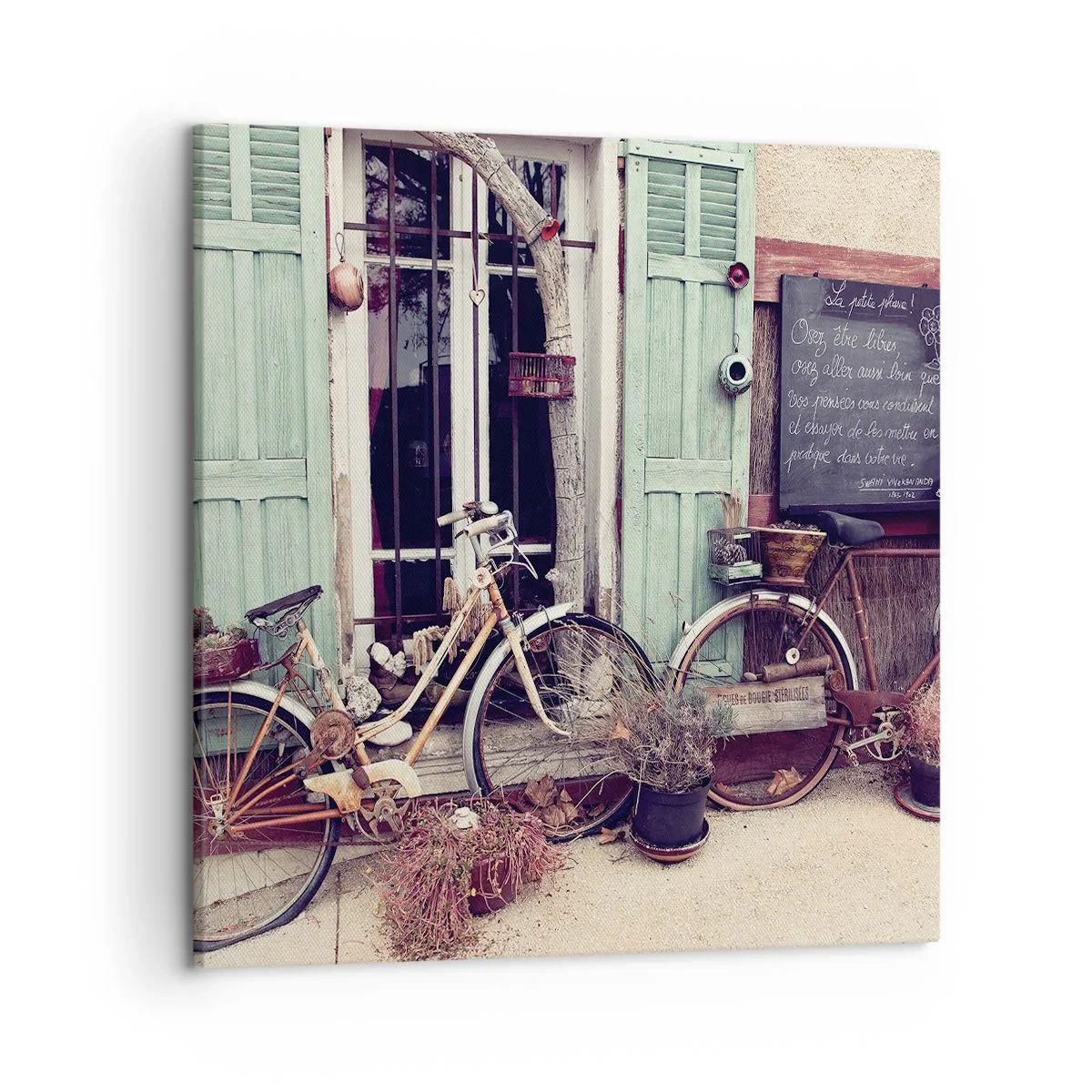 Vászonkép - Éljen a tartomány - 50x50 cm