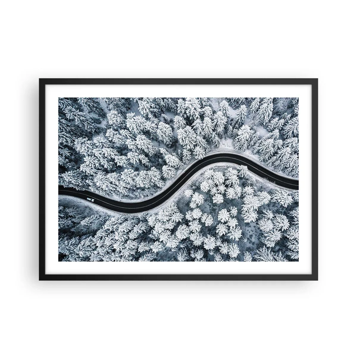 Poszter fehér keretben - A téli erdőn - 70x50 cm