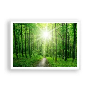 Poszter fekete keretben - A zöld katedrális - 100x70 cm