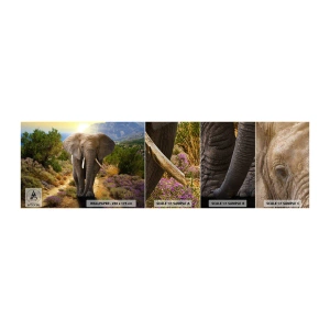 Fotótapéta Minta Standard Eco - Így nézett ki Eden - Állatok, Elefánt, Szafari - 100x30 cm
