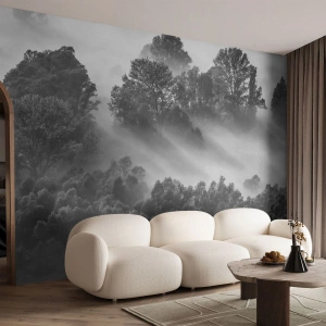 Fotótapéta Premium Sand -  Az álomból felkelő - Tájkép, Erdő, Köd - 100x70 cm