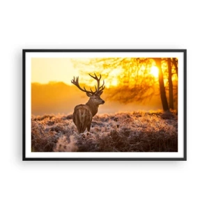 Poszter fehér keretben - Az őszi erdő királya - 91x61 cm