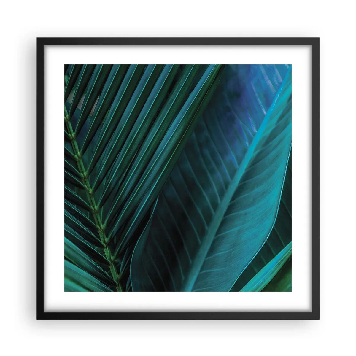 Poszter fehér keretben - A zöld anatómiája - 50x50 cm