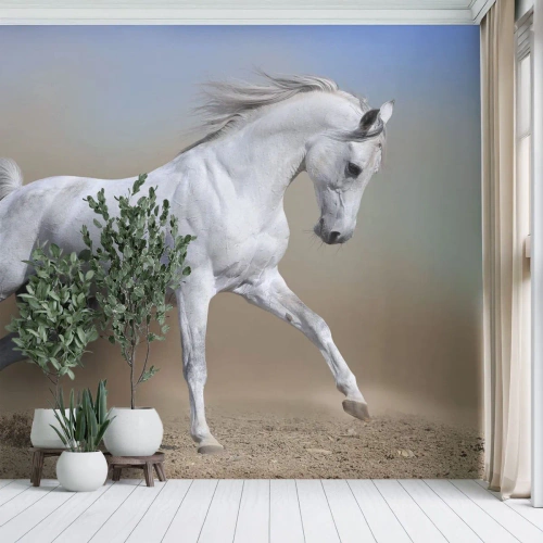Fotótapéta Standard Eco - A legszebb arab tündérmese - Ló, Állatok, Vágta - 200x140 cm