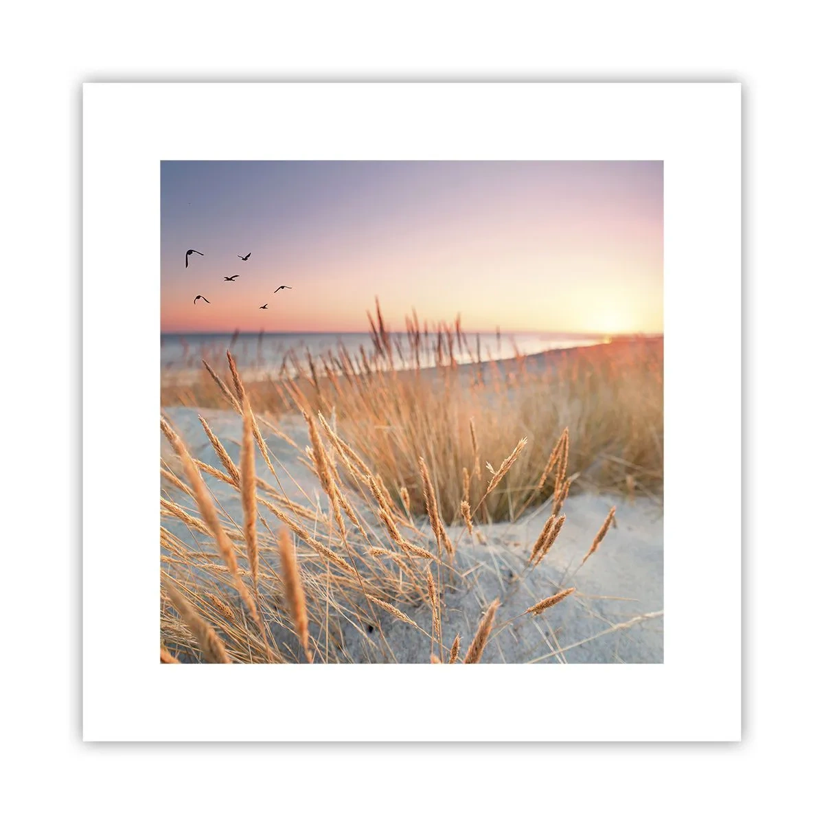 Poszter - A balti altatódal - 30x30 cm