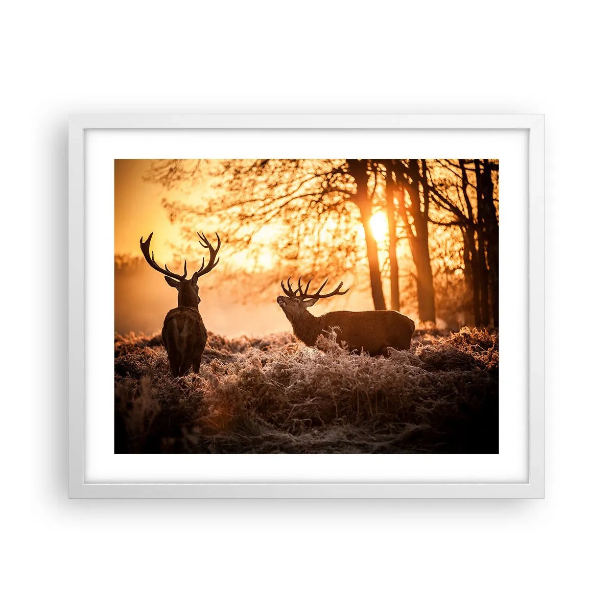 Poszter fekete keretben - Vadász álma - 50x40 cm