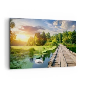 Vászonkép - Nyár, mindenhol nyár - 120x80 cm