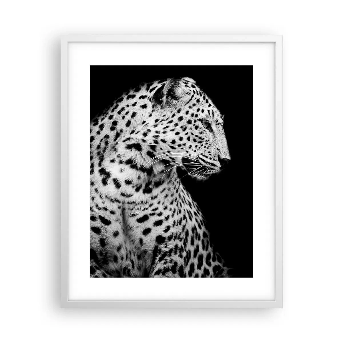 Poszter fekete keretben - Tökéletes jobb  profil! - 40x50 cm