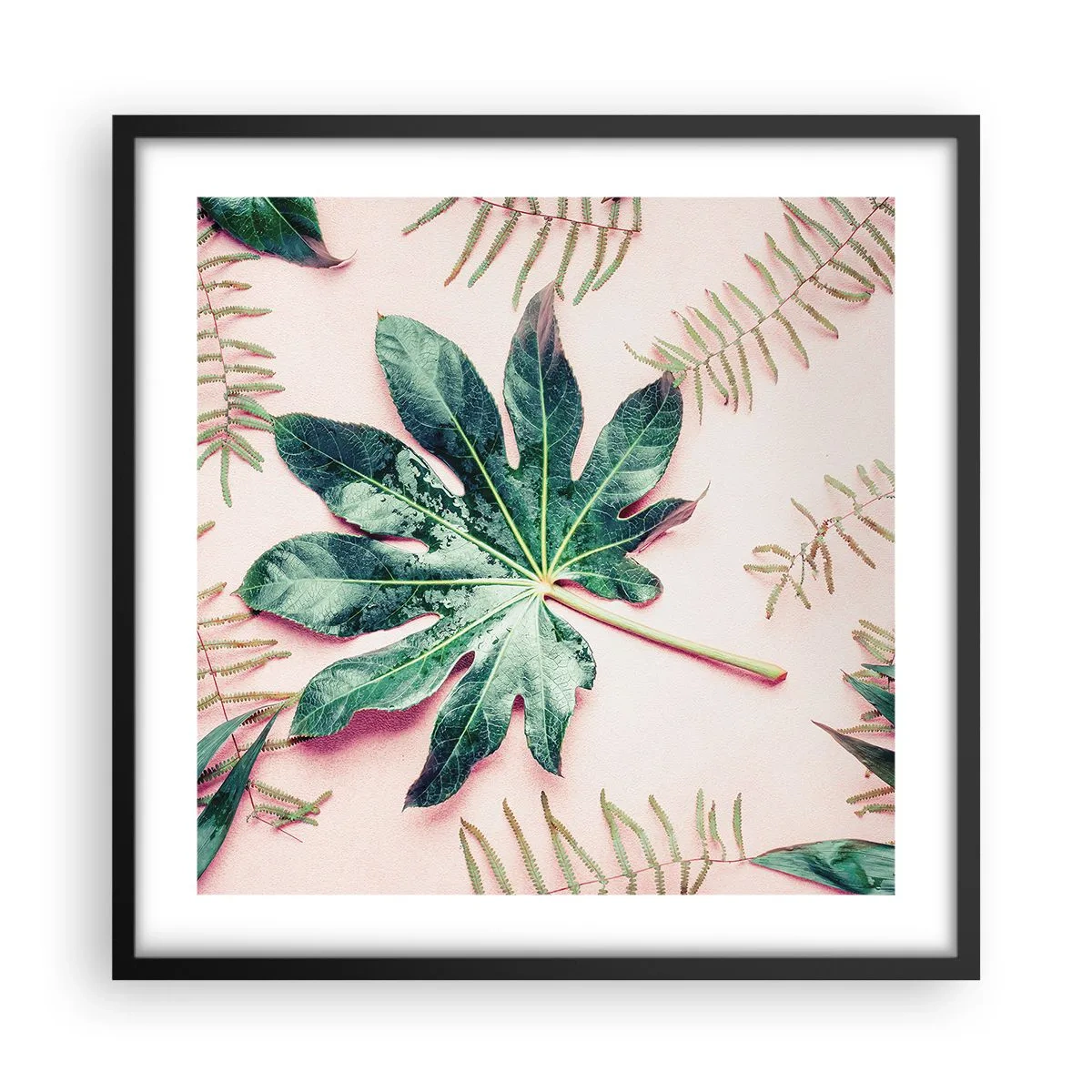 Poszter fehér keretben - A zöld tanulmánya a rózsaszín háttérben - 50x50 cm