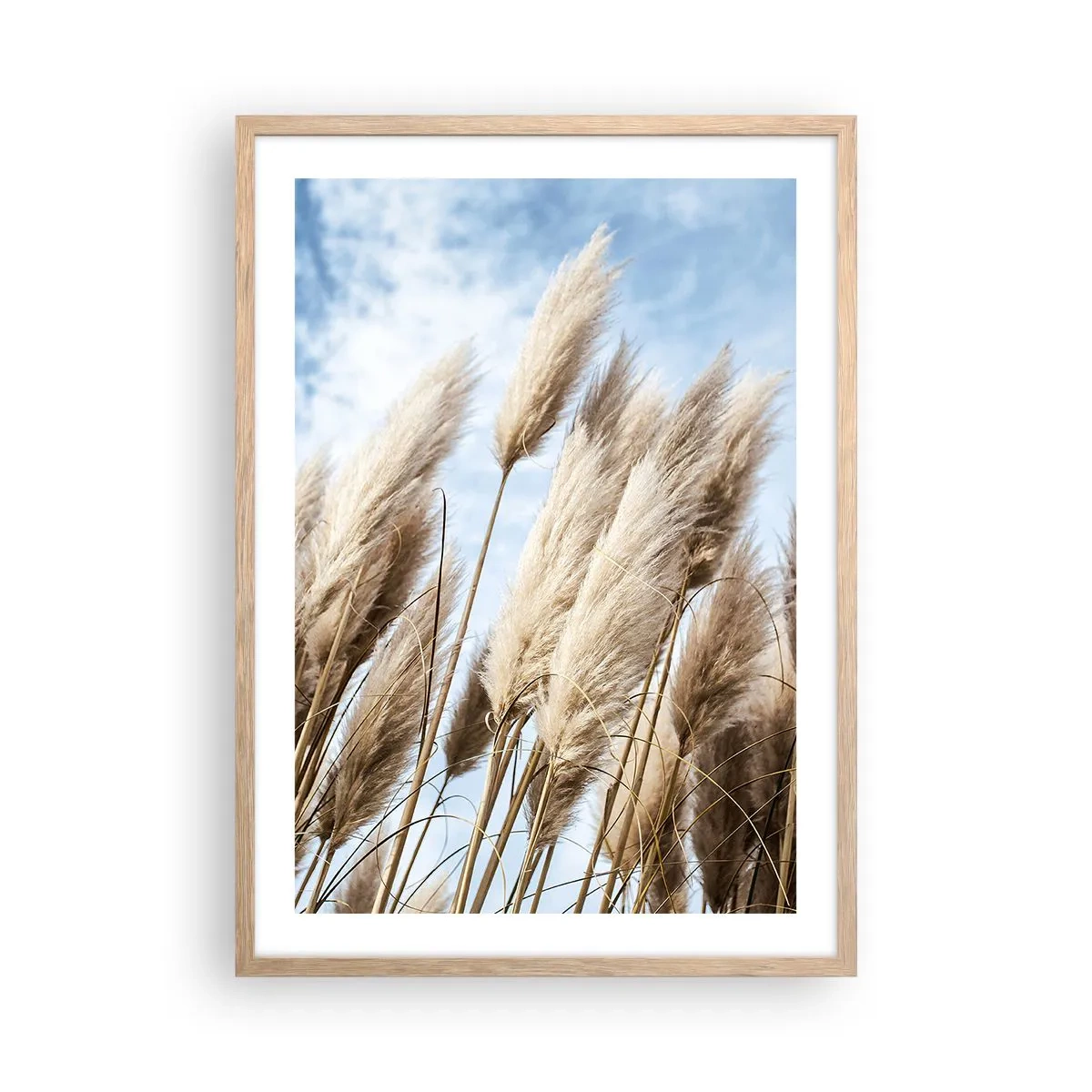 Poszter világos tölgy keretben - Napos és szeles simogatás - 50x70 cm