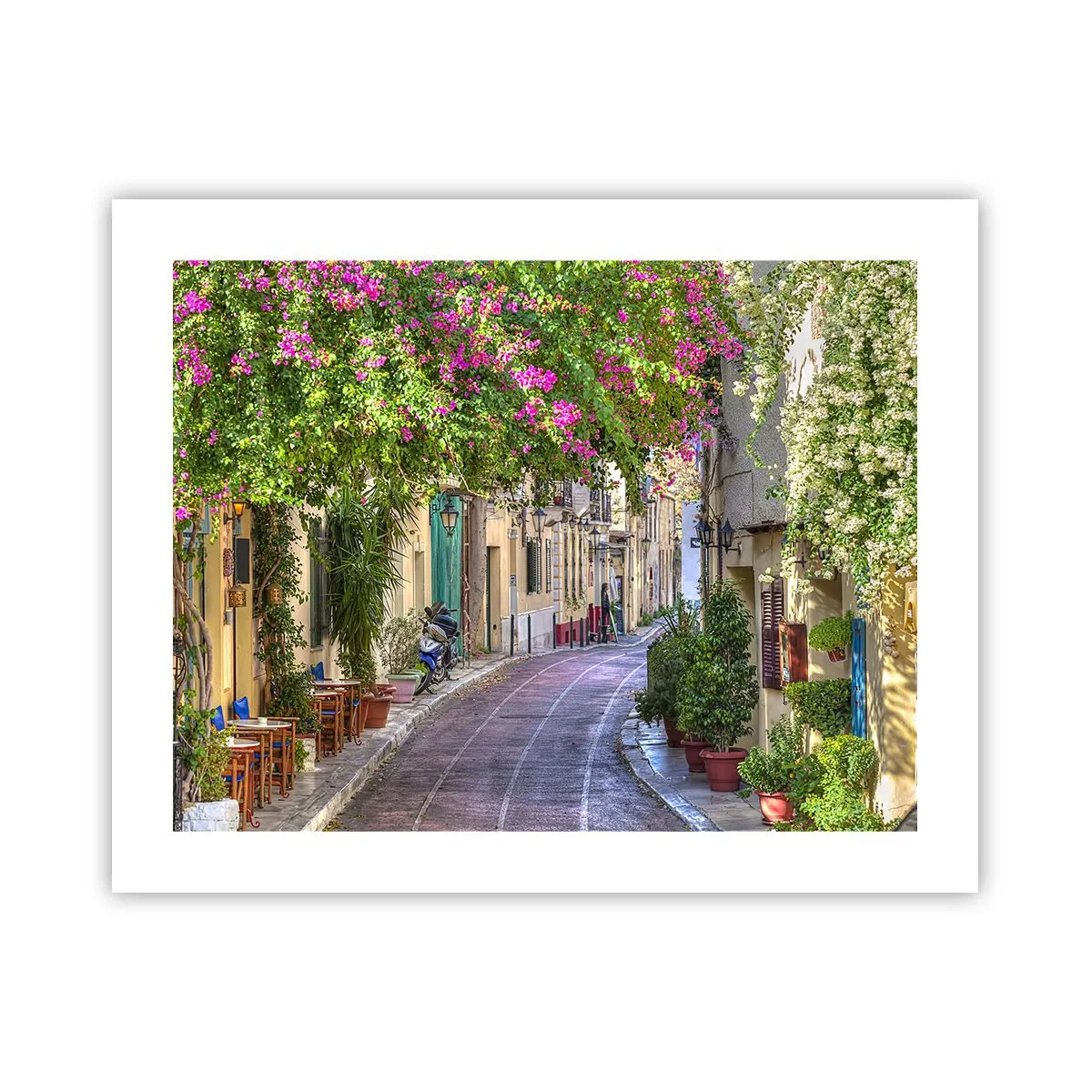 Poszter - Virágzó sikátor - 50x40 cm