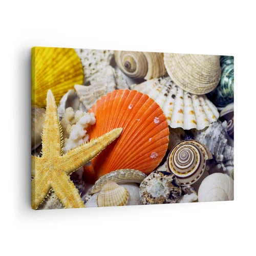 Vászonkép - Kagylók és tengeri csillagok tengeri kompozícióban - 70x50cm - Óceán kincsei - Modern fali dekoráció nappalihoz és hálószobához ARTTOR