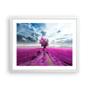 Poszter fekete keretben - Csarab mező - szentély - 50x40 cm