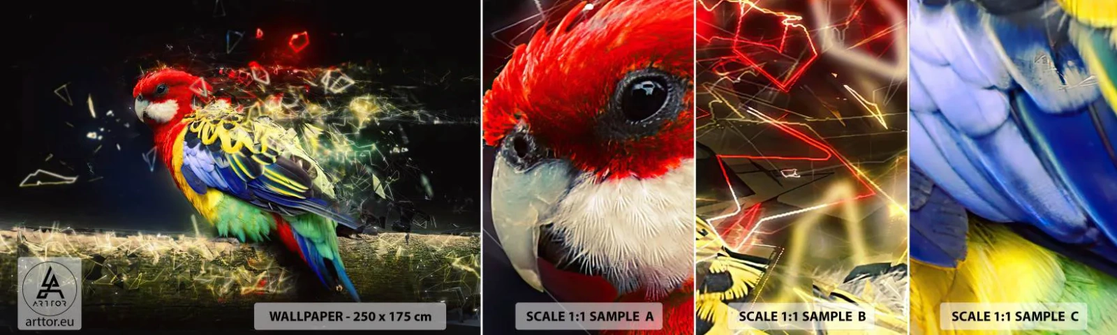 Fotótapéta Minta Standard Eco - A ragyogás hírnöke - Absztrakció, Papagáj, Madár - 100x30 cm