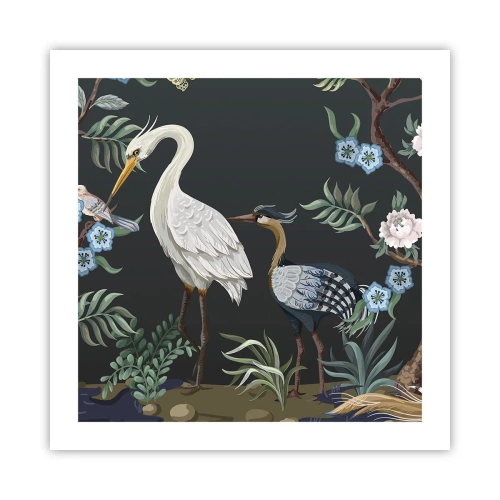 Poszter - Madar parádé - 50x50 cm