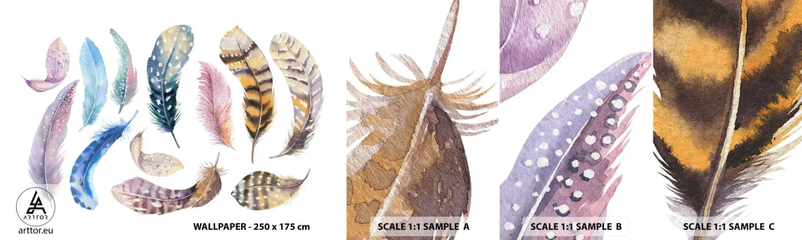 Fotótapéta Minta Standard Eco - Könnyű, tarka és sokszínű - Madártollak, Madarak, Grafika - 100x30 cm