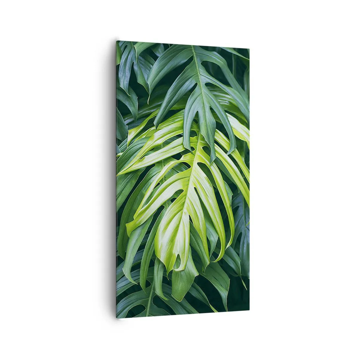 Vászonkép - Merüljön el a frissességben - 65x120 cm