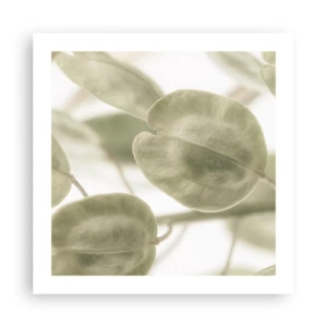 Poszter - Kezdetben levelek voltak... - 50x50 cm