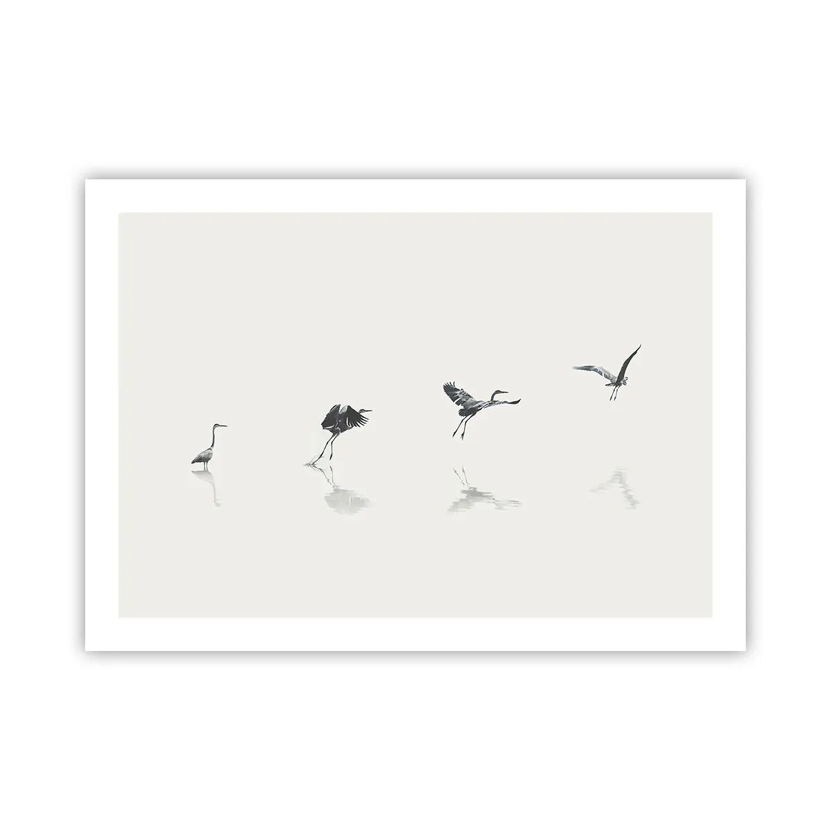 Poszter - Négy egyszerű lépés - 70x50 cm