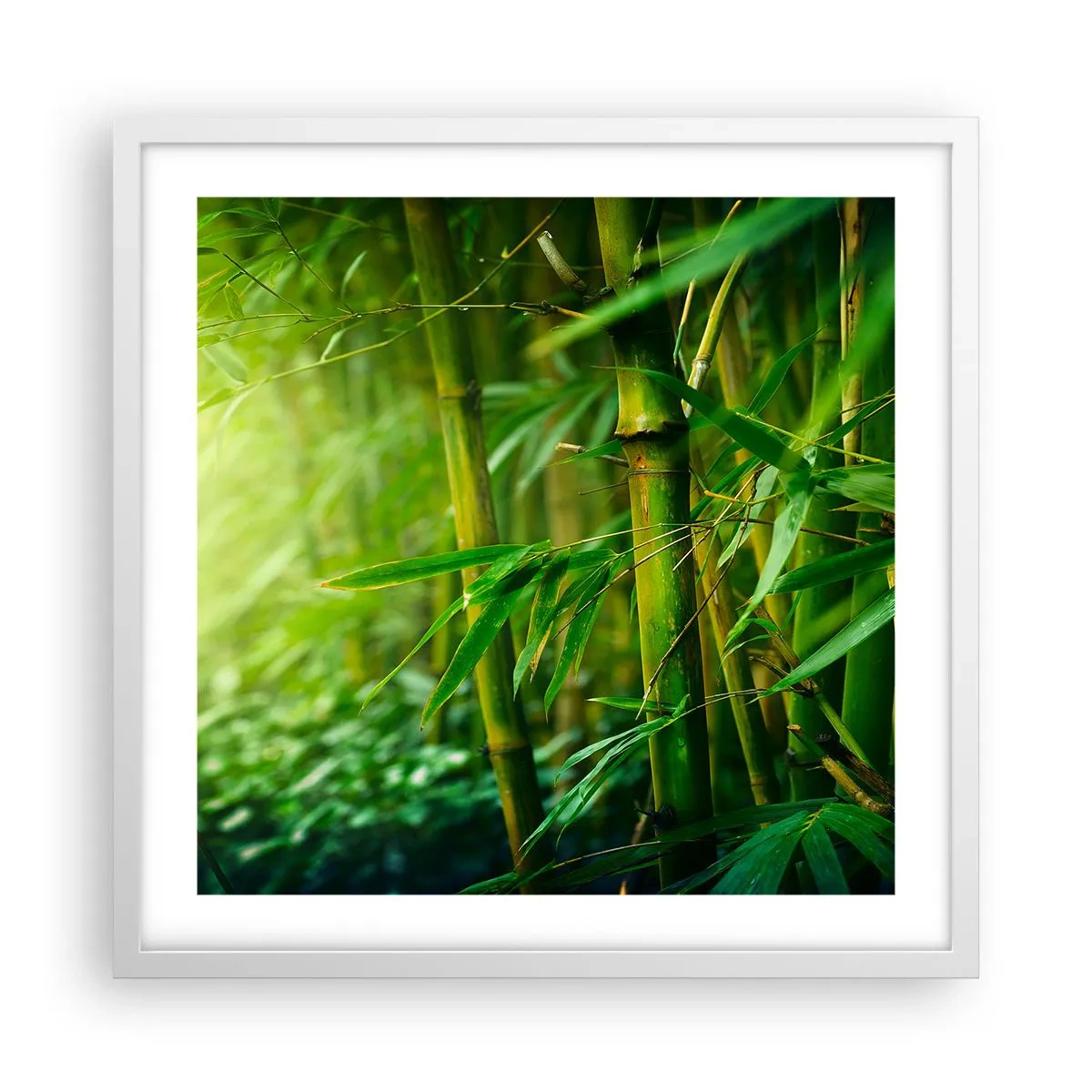 Poszter fekete keretben - Megismerni magát a zöldet - 50x50 cm