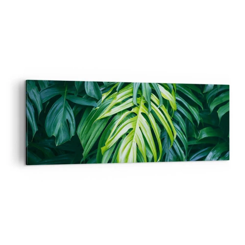 Vászonkép - Merüljön el a frissességben - 140x50 cm