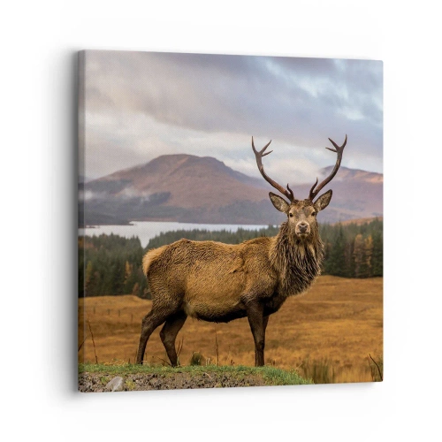 Vászonkép - A természet fensége - 30x30 cm