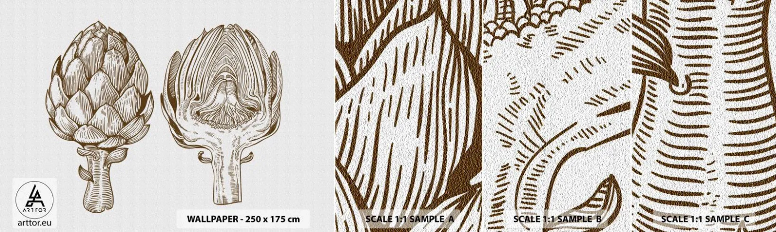 Fotótapéta Minta Standard Eco - Anatómia lecke - Articsóka, Konyha, Zöldségek - 100x30 cm