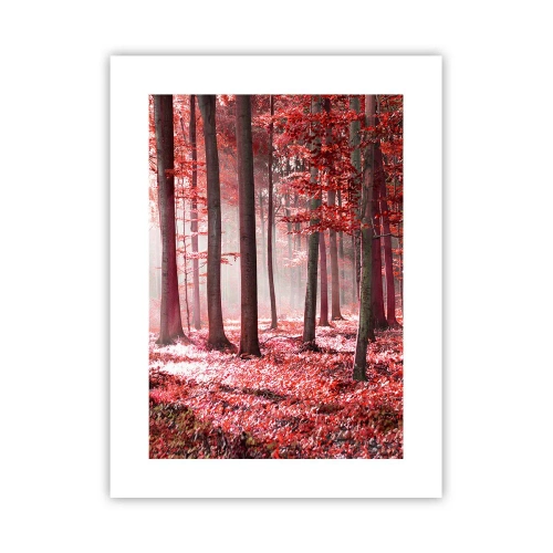 Poszter - A piros különösen szép - 30x40 cm