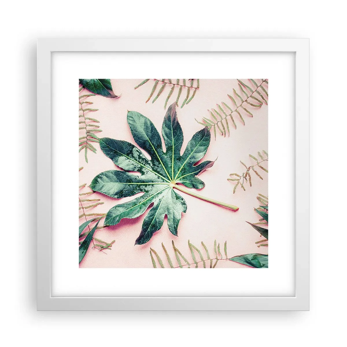 Poszter fekete keretben - A zöld tanulmánya a rózsaszín háttérben - 30x30 cm