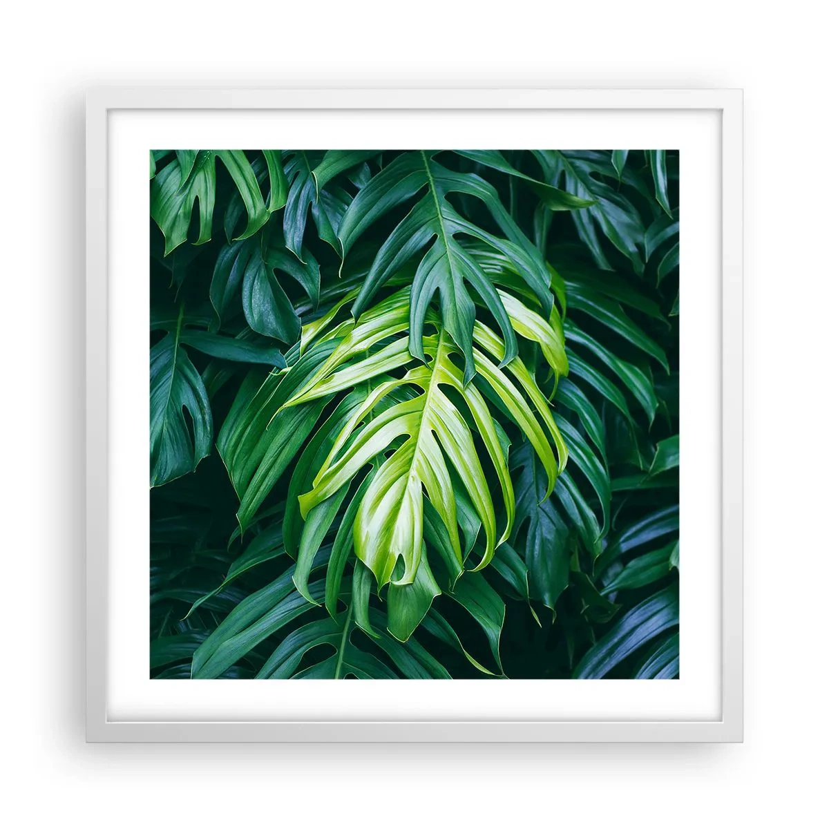 Poszter fekete keretben - Merüljön el a frissességben - 50x50 cm