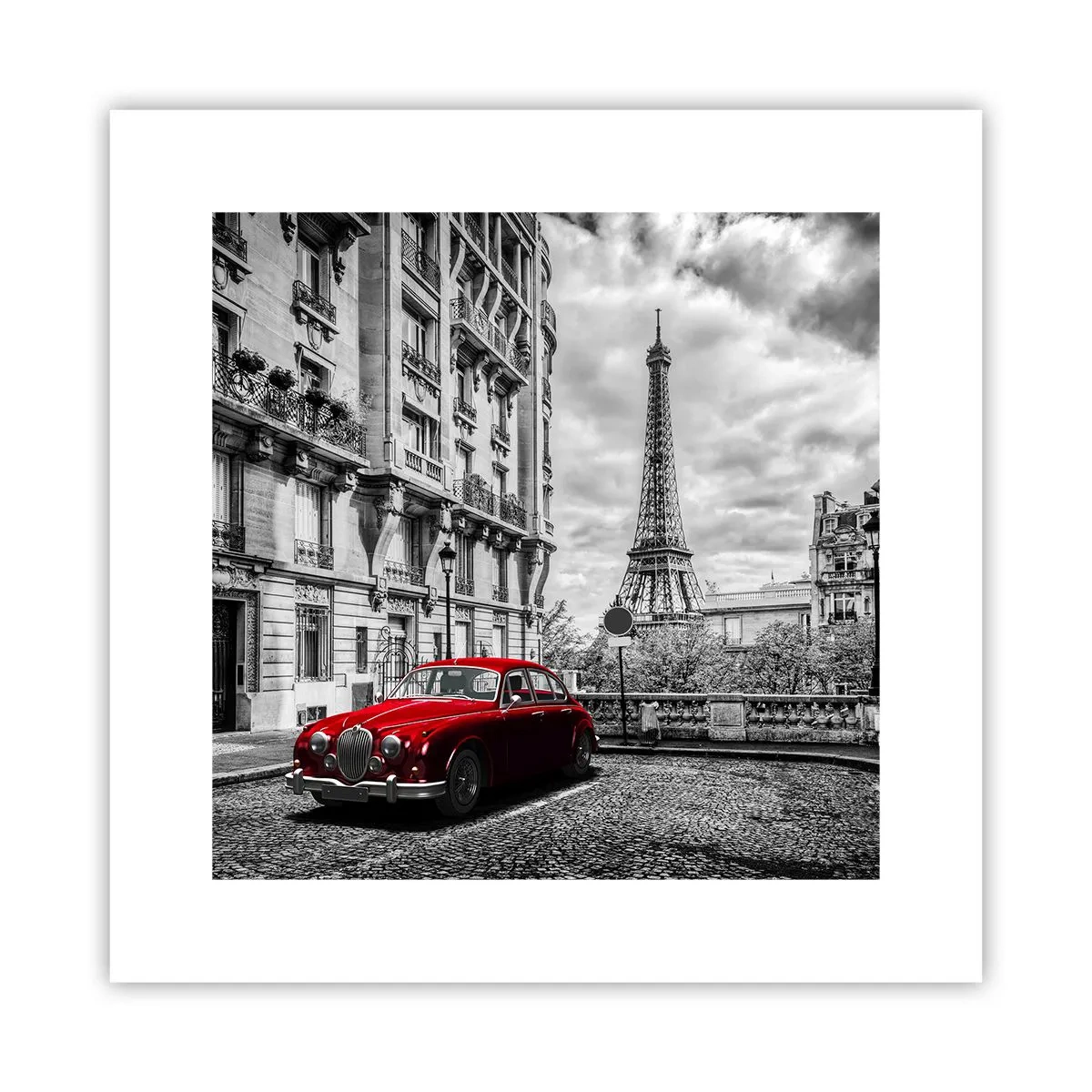 Poszter - Ragadozó a városban - 30x30 cm