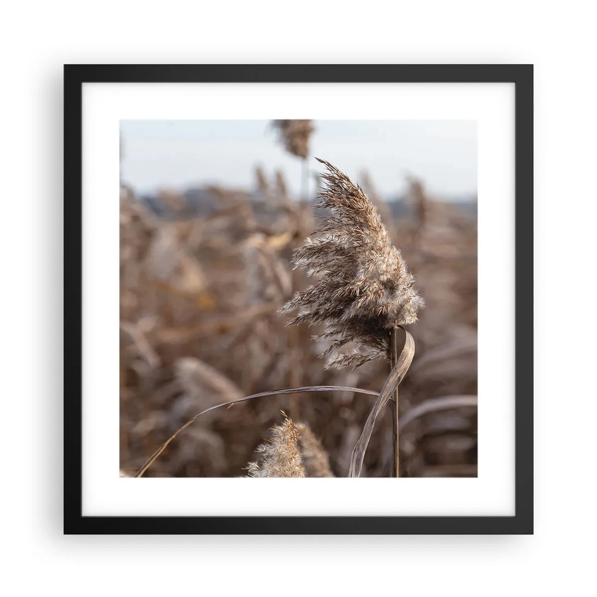 Poszter fehér keretben - Ideje elrepülni a széllel - 40x40 cm