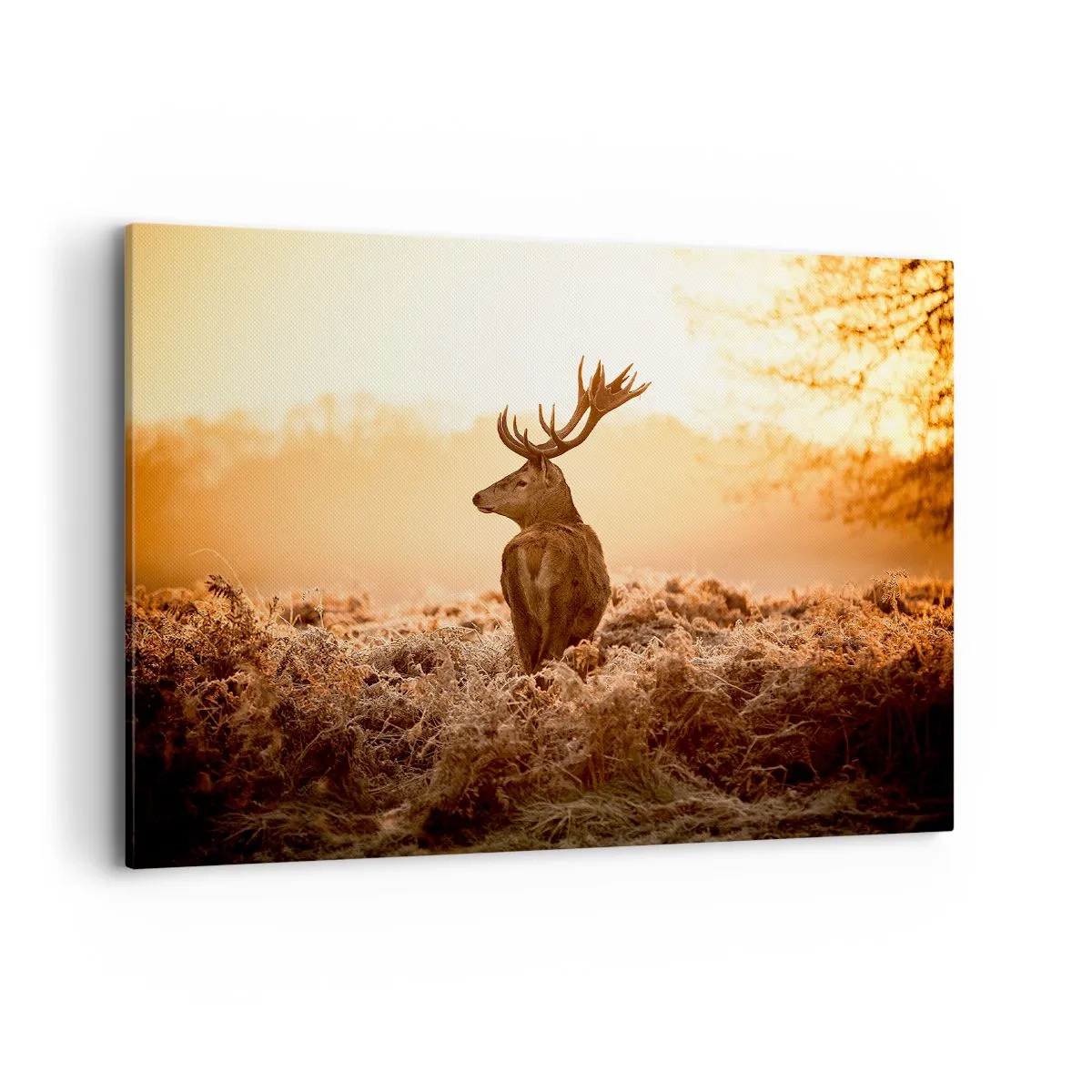 Vászonkép - A birtok ura - 100x70 cm