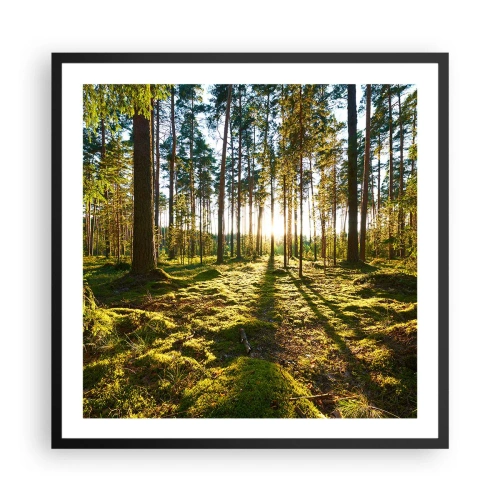 Poszter fehér keretben - … A hét erdőn túl - 60x60 cm